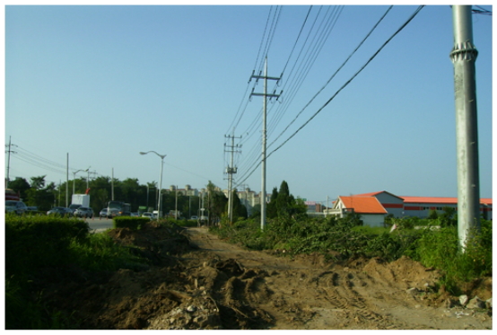 조경식재